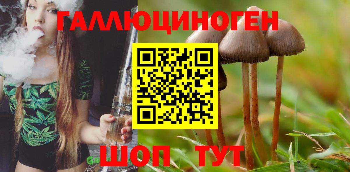 Галлюциногенные грибы Magic Shrooms Кудрово